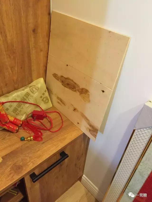 推开门我误以为自己闯入了海洋精灵的家