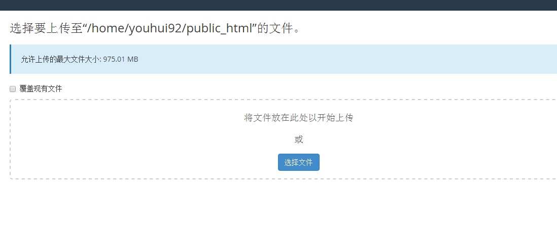 大淘客搭建网站使用国内服务器,淘客建站域名解析