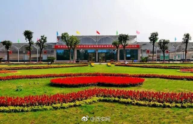 政府垫资入股贫困户享受收益|长安产业脱贫6到飞起