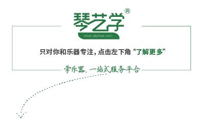 中老年零基础学电子琴技巧大全,电子琴初学者需要知道的小技巧