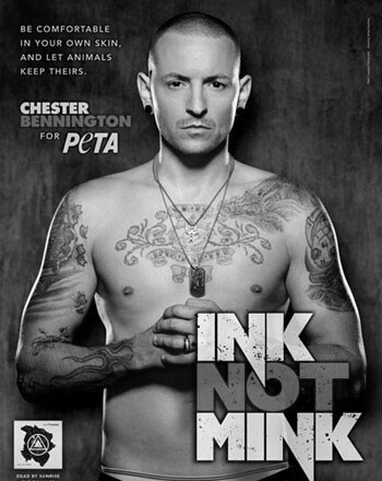 林肯公园三次来中国,林肯公园听哭了很多人