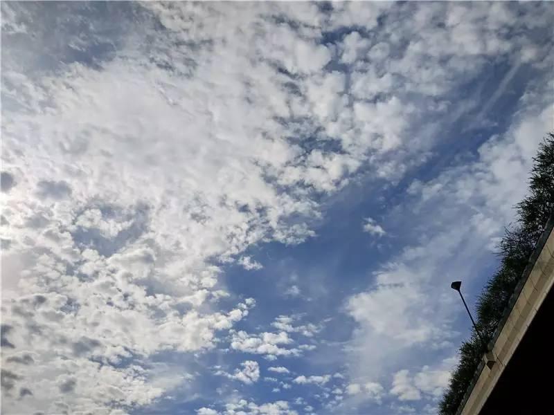 vivox9s测评方法,vivox9s测评视频