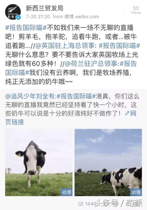 各国争抢全球黄金奶源带,网友评论:别争了,都在天猫国际呢!