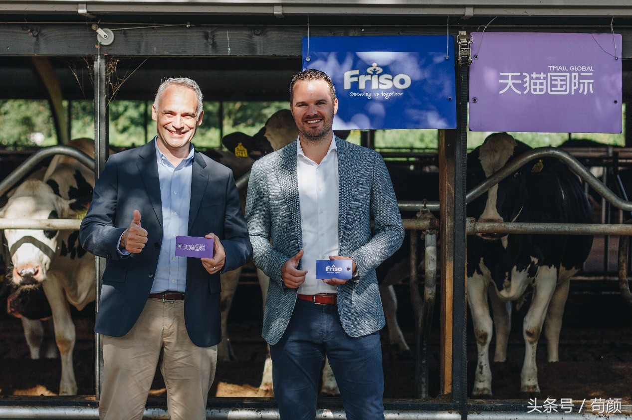 各国争抢全球黄金奶源带,网友评论:别争了,都在天猫国际呢!