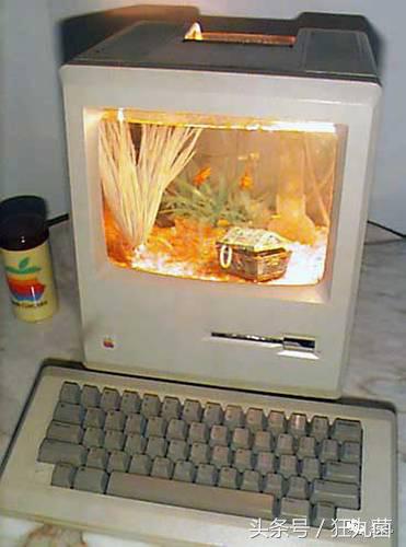 能热饭还能当马桶?别拦我,请把我埋在这样的电脑机箱里