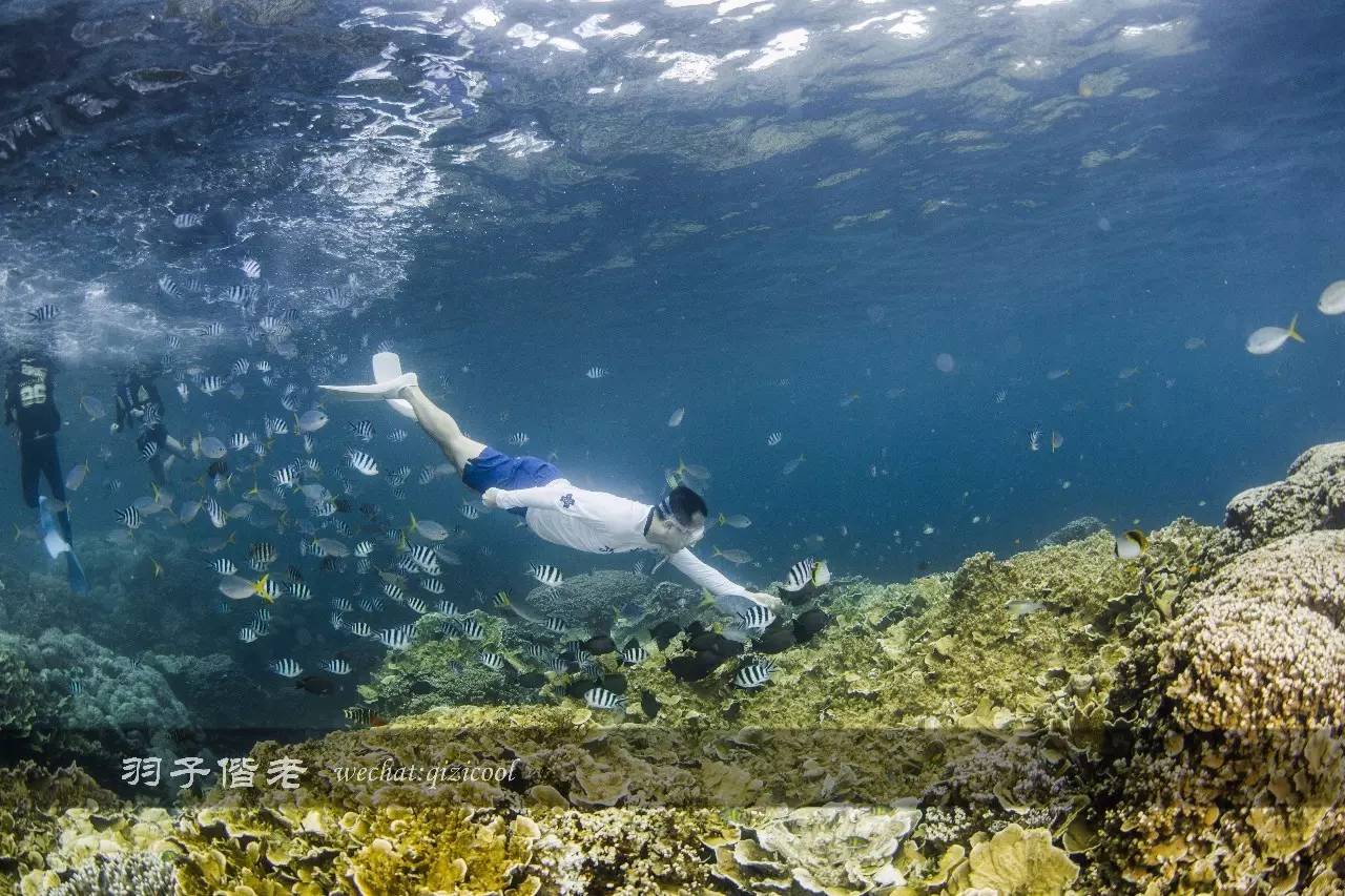 帕劳的旅游时长是多少,帕劳旅游找哪个旅行社