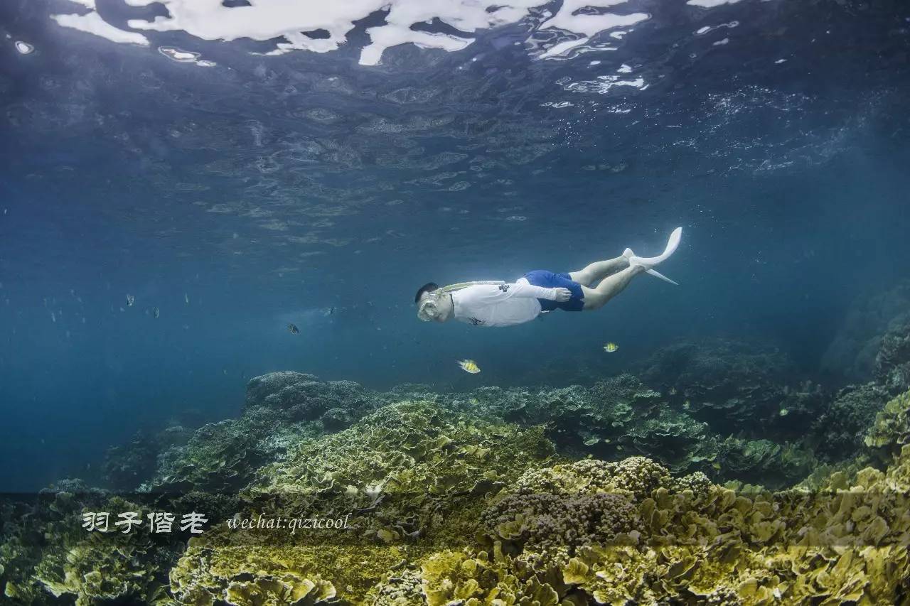 帕劳的旅游时长是多少,帕劳旅游找哪个旅行社