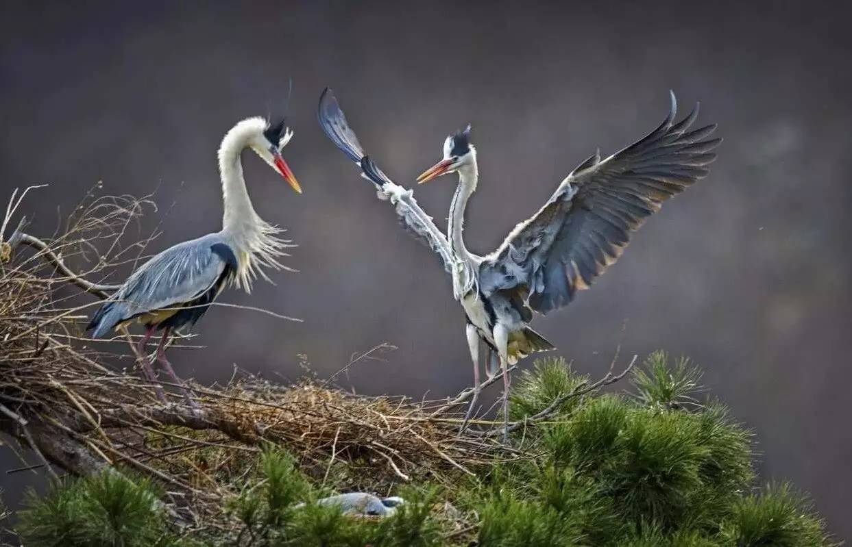 北京周边还有这么多山清水秀的地方？您早就该来一场美丽的邂逅！