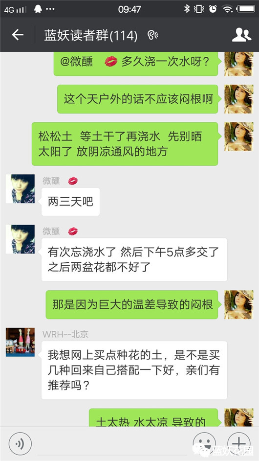 花一般是怎么养死的,养花新手必须知道的事