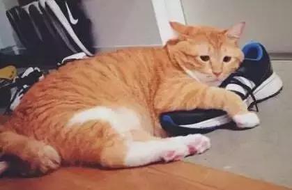 丧文化再度来袭,丧文化