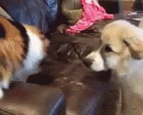 丧文化再度来袭,丧文化