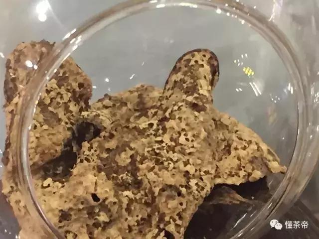 好的陈皮会有虫子吗,陈皮容易生虫子怎么办