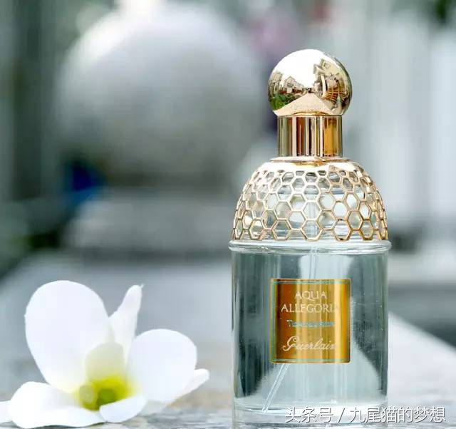 渣男味、发廊味、女老师洗澡后的味道，直男在香水面前简直疯了