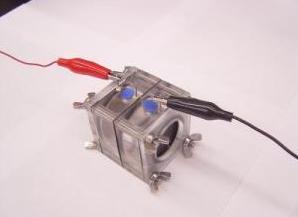 最新的环保葬法,世界上最无污染的处理遗体的方法