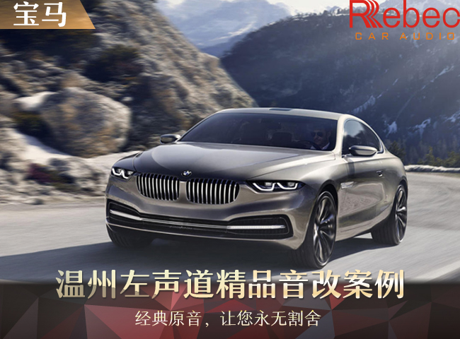 宝马音响喇叭雷贝琴,豪车音响有必要改吗