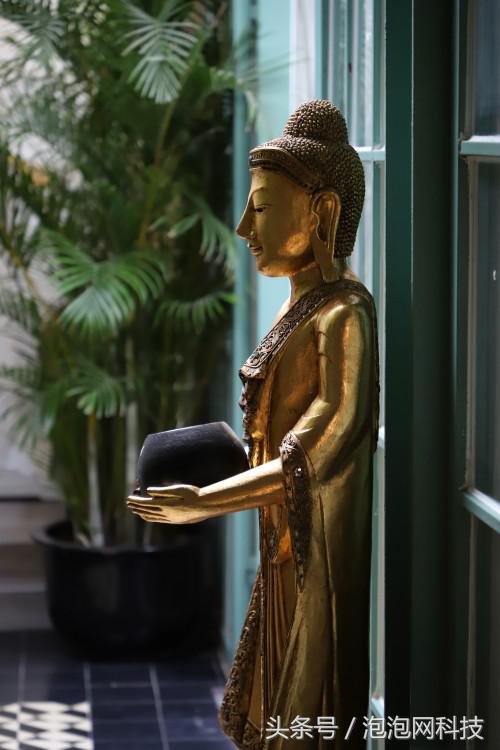 佳能6dmarkii使用详解,入门级全画幅佳能相机型号