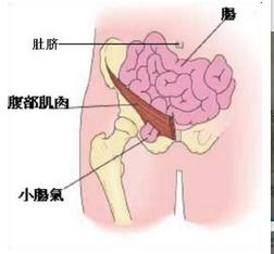 娴蜂赴闃夸笢鐩存挱瑙嗛,娴蜂赴闃夸笢鏂伴椈澶存潯