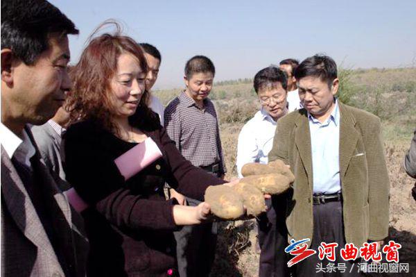 农村女孩的创业梦想,农村姑娘创业梦