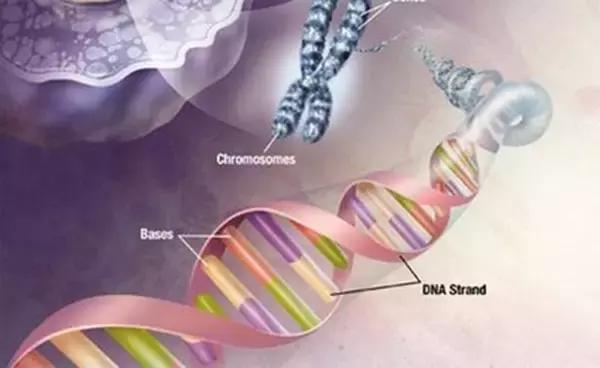 o型和b型可以生出来ab血型吗,o型和b型生孩子是ab血型