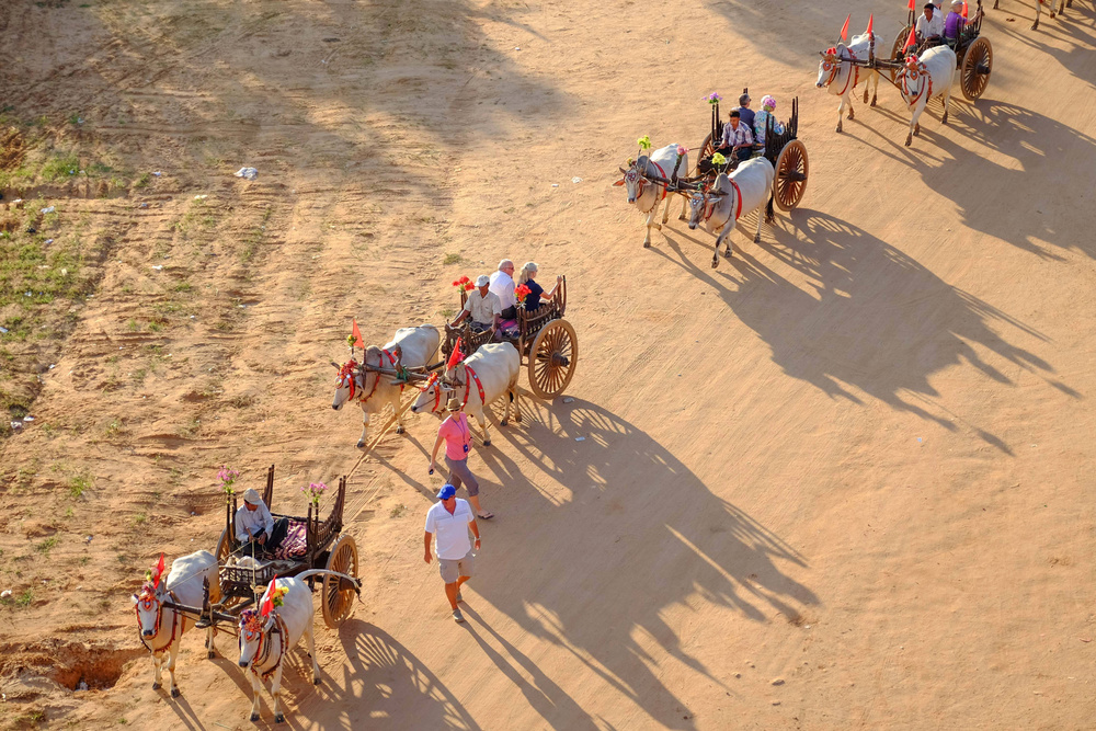 蒲甘——古称“阿利摩陀那补罗”