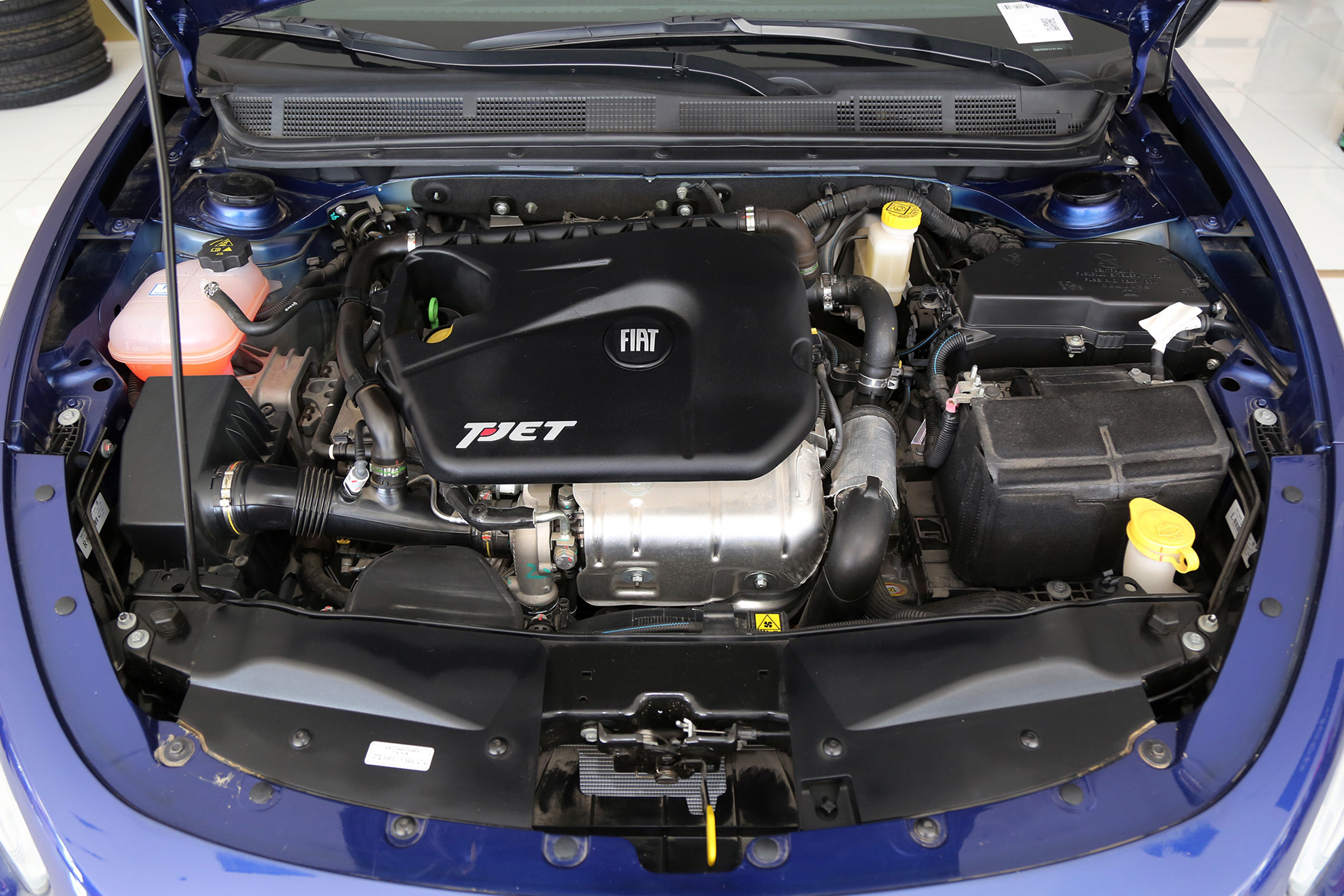 走近科学信鸽,走近科学可信吗