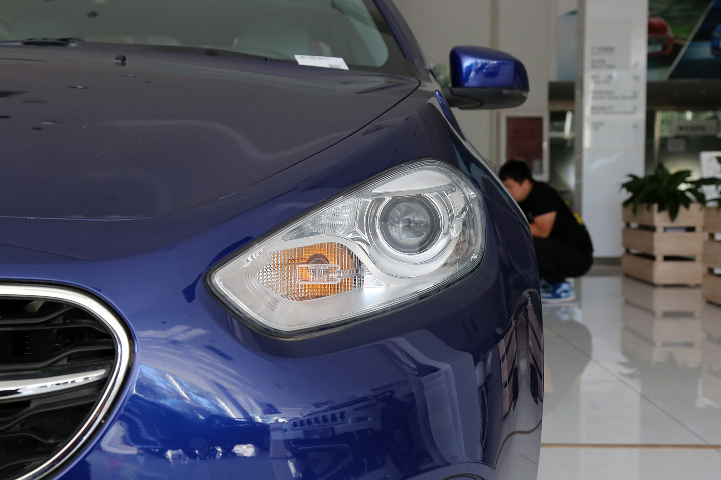 走近科学信鸽,走近科学可信吗