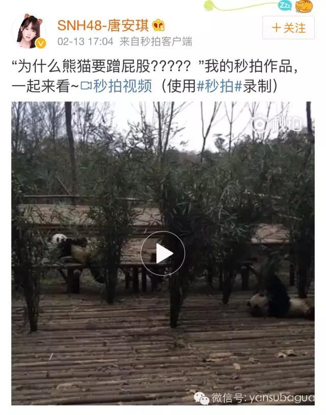 snh48成员哭到喘不上气,snh48唐安琪烧伤照片图文