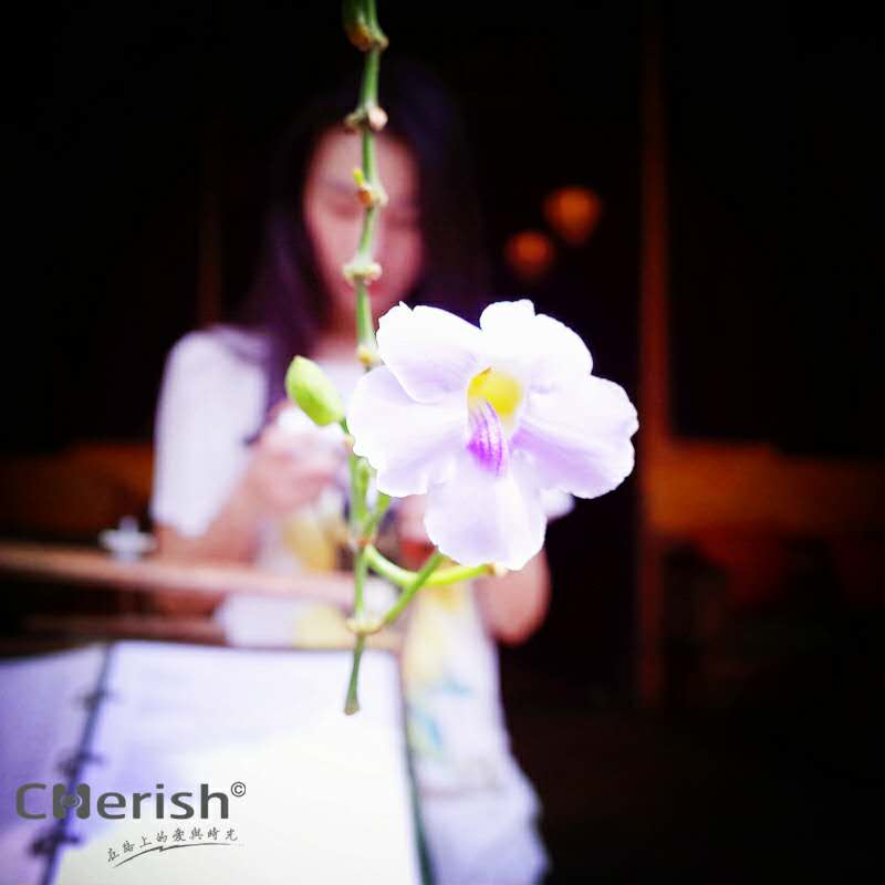 清迈批发市场——伴手礼天堂(不买怎么对得起自己)