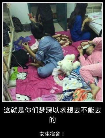 偷东西逃跑的搞笑图片,偷东西被发现的搞笑图片