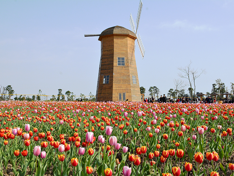 楠溪江自驾游三日游攻略,永嘉楠溪江自驾游攻略
