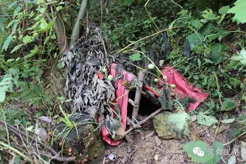 美食有一种情怀叫老味道,美食江湖情