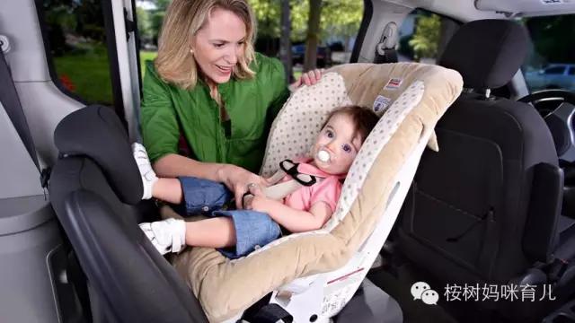 带娃旅行如何兼顾学习 (带娃之余也可以有诗和远方)