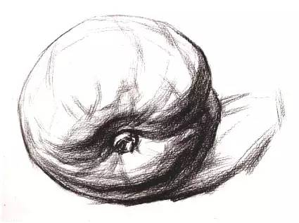 从零开始学绘画简单入门,一分钟了解中国画