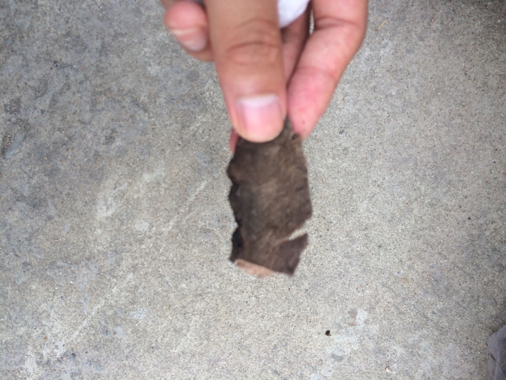 来自身边的“翔”，得知后你都可以做《女医》了！