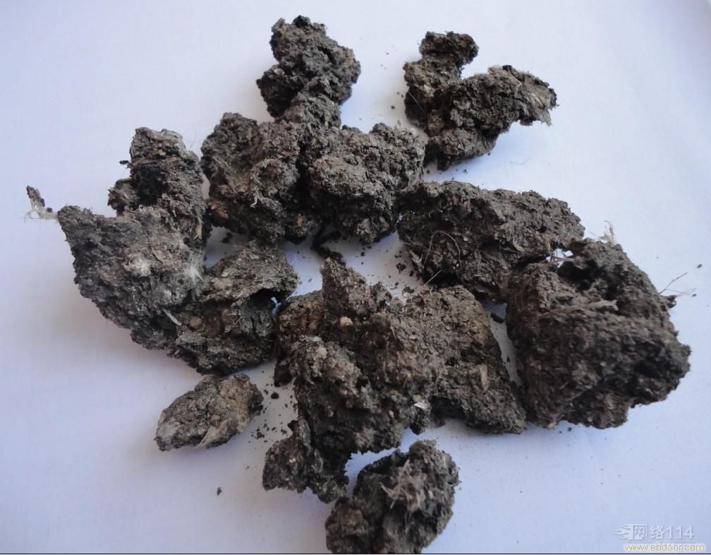 来自身边的“翔”，得知后你都可以做《女医》了！