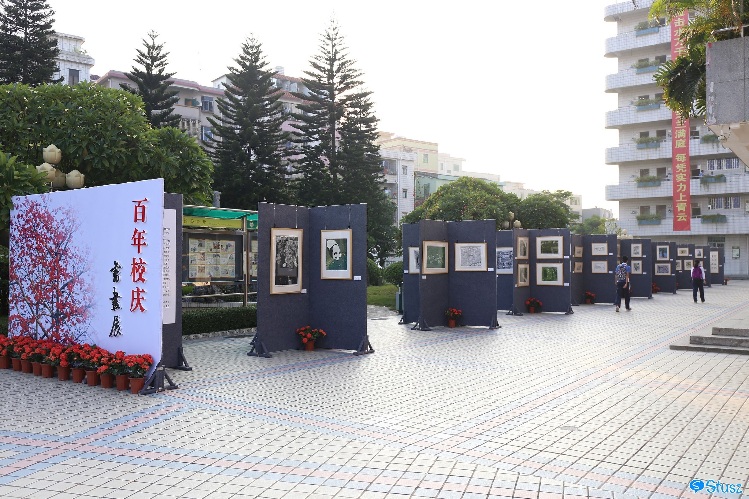 Stusz独家:观澜中学,现代化的百年老校