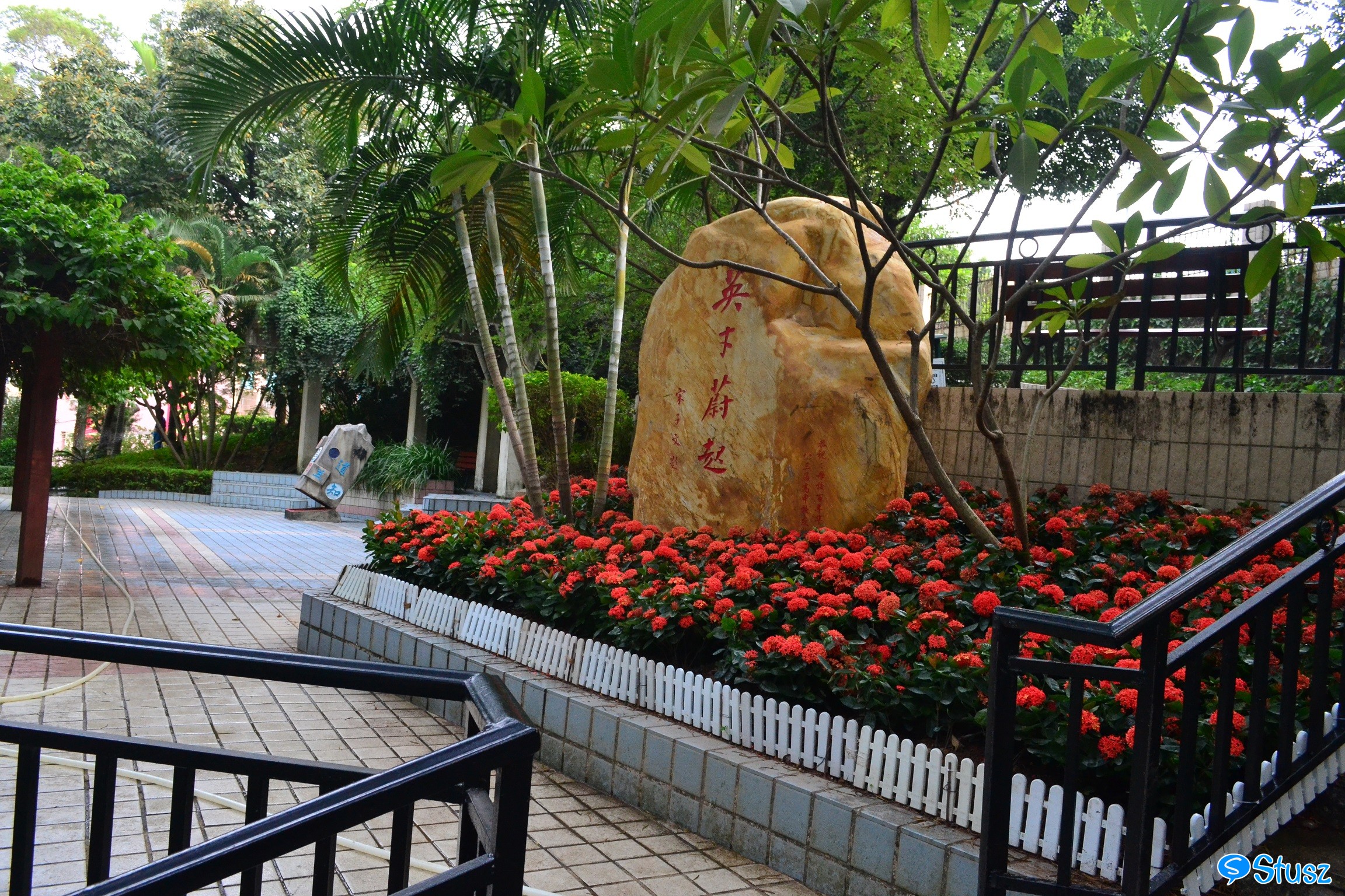 Stusz独家:观澜中学,现代化的百年老校