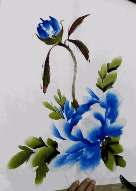 把牡丹种成树,牡丹种在树底下