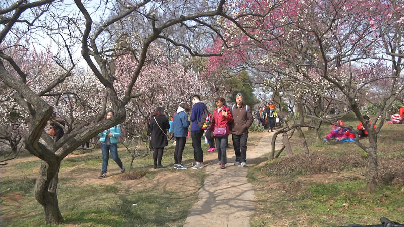 春暖花开皮肤过敏是什么原因,春暖花开如何防止过敏