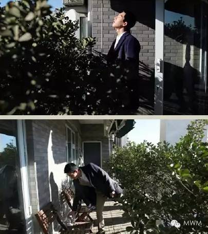 倪妮羡慕别人的爱情,倪妮和井柏然谈多久