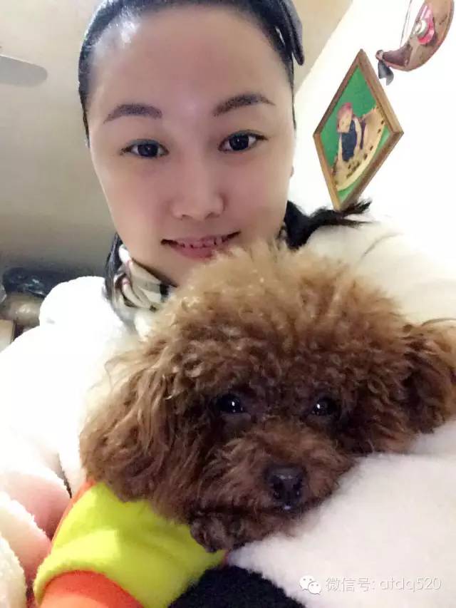 泰迪妈妈生了几个孩子,泰迪接生的过程