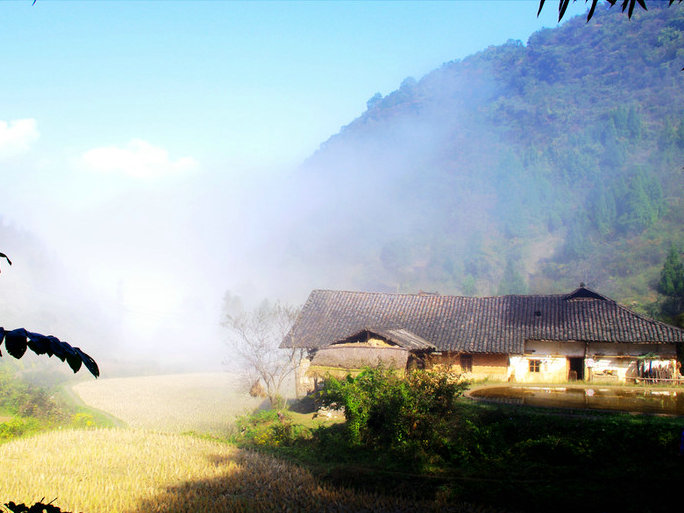 过故人庄孟浩然古诗赏析及意思,孟浩然过故人庄赏析视频