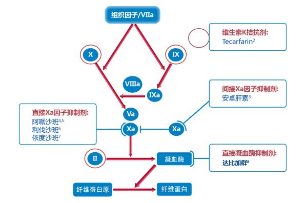 冠心病合并房颤的抗凝治疗,房颤射频消融术后抗凝治疗多久