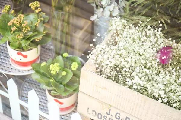 法芙娜巧克力适合做什么,法芙娜巧克力奶油的做法