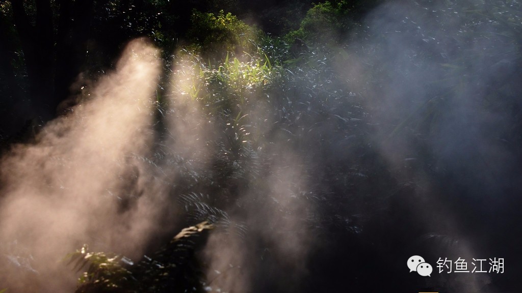 江湖骗局大曝光,江湖揭秘全部视频