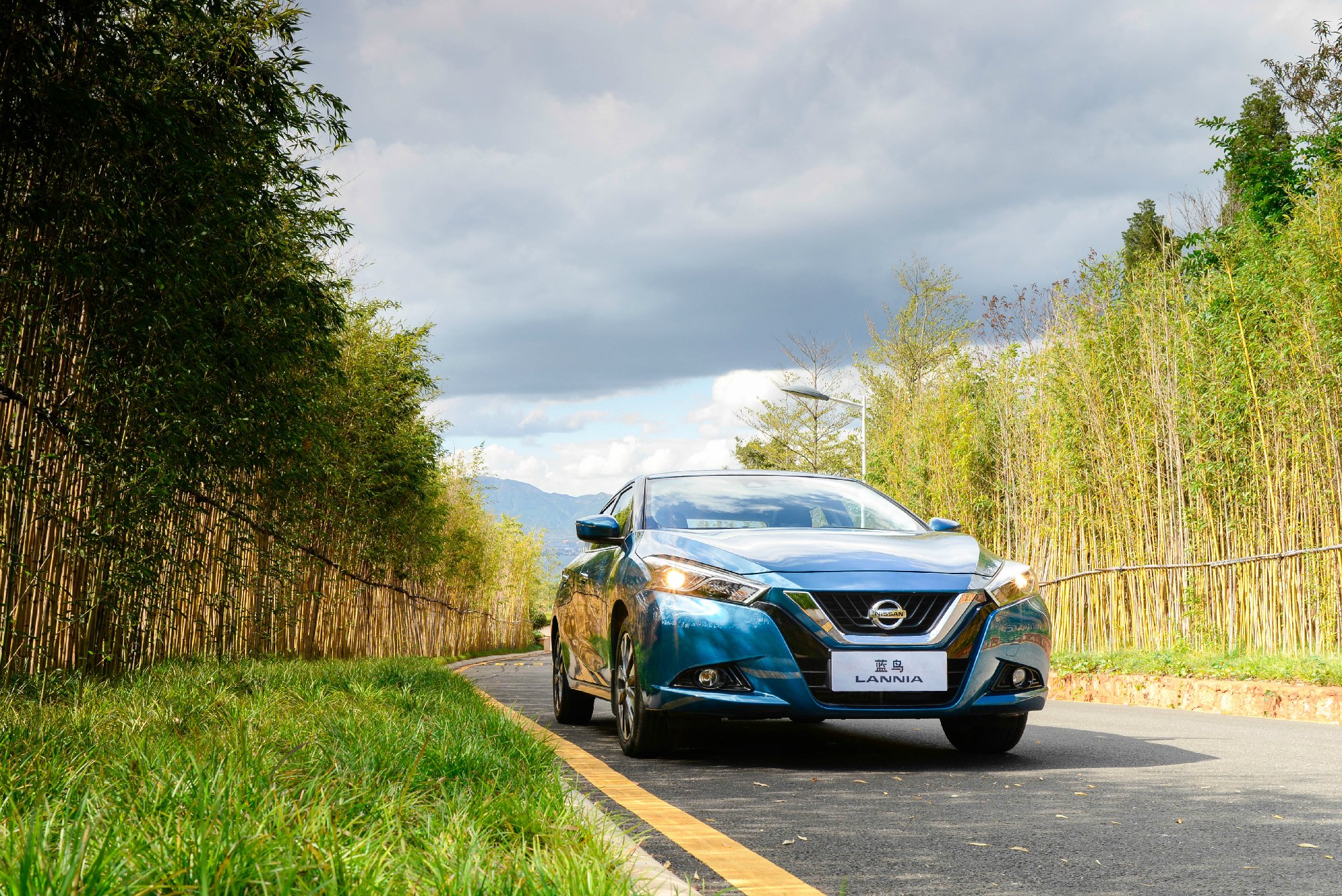 16年蓝鸟外观,蓝鸟最经典的是哪一款