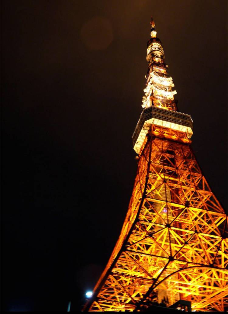 东京爱情故事日语,东京爱情故事有多少集