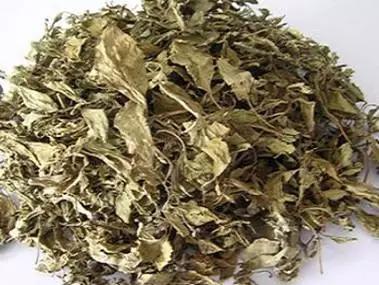 温补肝肾益精填髓的中草药,鹿衔草是补肾阳虚还是肾阴虚