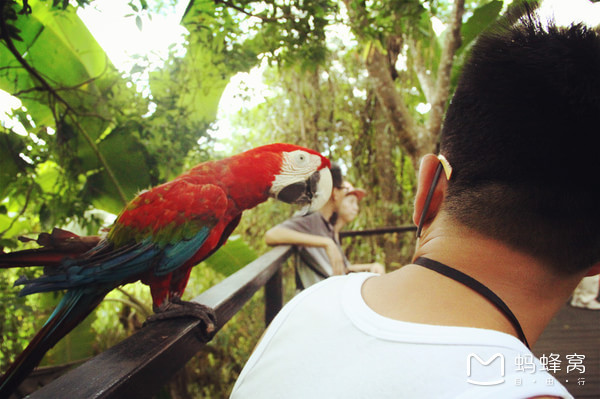 一起去三亚旅游就是最好的陪伴,三亚攻略自由行情侣