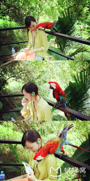 一起去三亚旅游就是最好的陪伴,三亚攻略自由行情侣